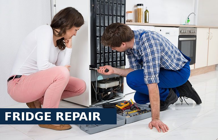 Fridge Repair Stamford Hill